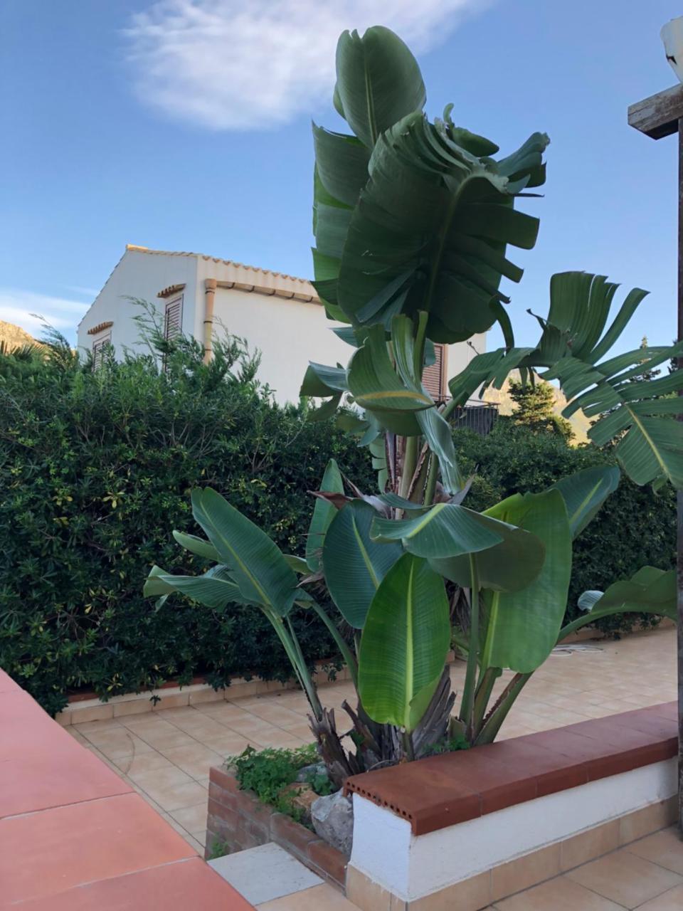 Villa A San Vito Lo Capo Minaudo Zewnętrze zdjęcie